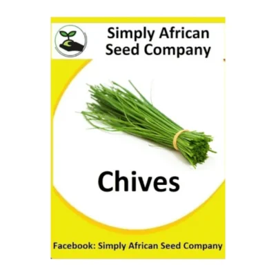 Chives Seeds SASC Non-GMO