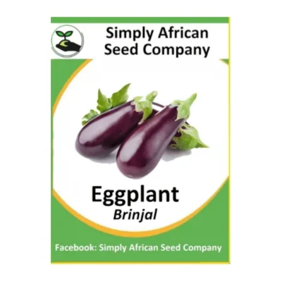 Brinjal Eggplant Seeds SASC Non-GMO
