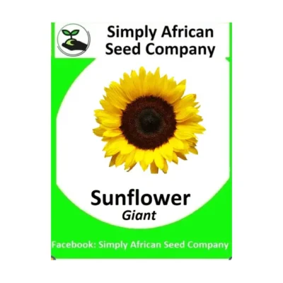 Giant Sunflower Seeds SASC Non-GMO