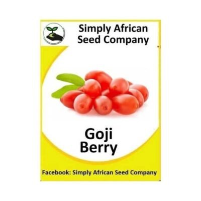 Goji Berry Seeds SASC Non-GMO