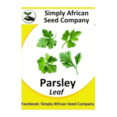 Parsley Italian Flatleaf Seeds SASC Non-GMO