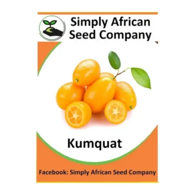 Kumquat Seeds SASC Non-GMO
