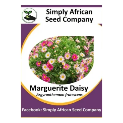 Marguerite Daisy Seeds SASC Non-GMO