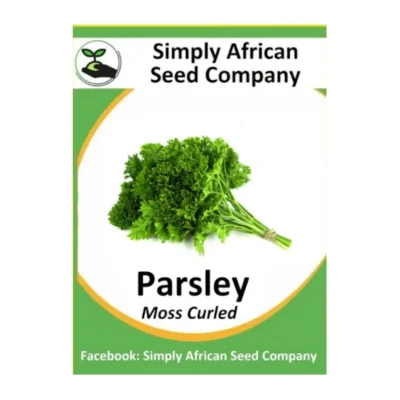 Parsley Moss Curled Seeds SASC Non-GMO