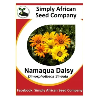 Namaqua Daisy Seeds SASC Non-GMO