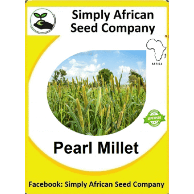 Pearl Millet Seeds SASC Non-GMO