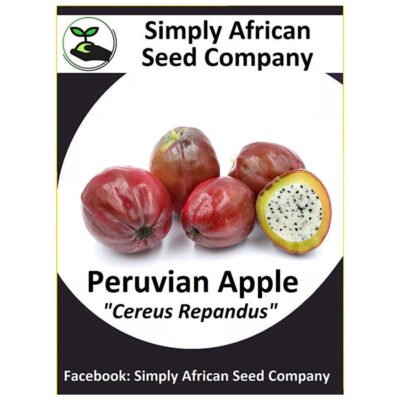 Peruvian Apple Seeds SASC Non-GMO
