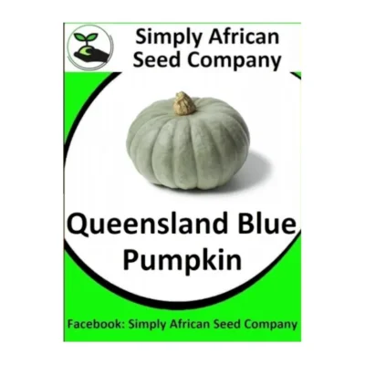 Pumpkin Queensland Blue Seeds SASC Non-GMO