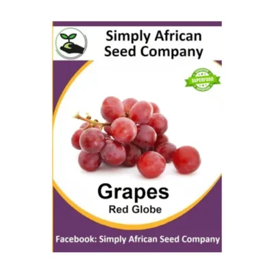 Grape Red Globe Seeds SASC Non-GMO