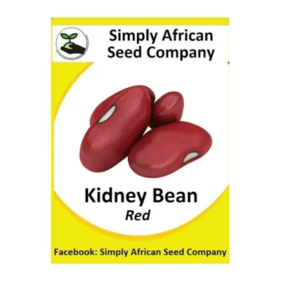 Kidney Bean Red Seeds SASC Non-GMO