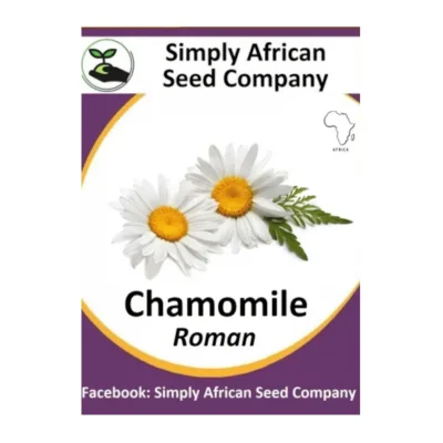Chamomile Roman Seeds SASC Non-GMO