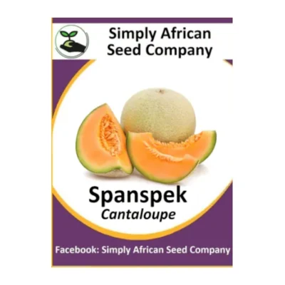 Spanspek Cantaloupe Seeds SASC Non-GMO