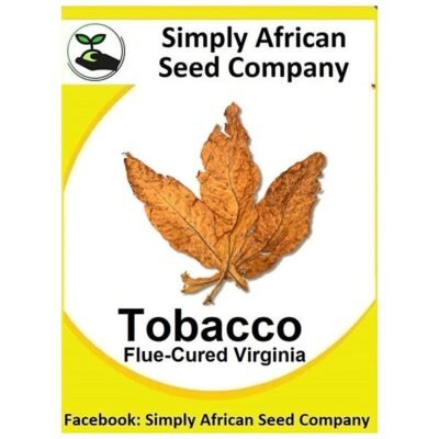 Tobacco Virginia Seeds SASC Non-GMO