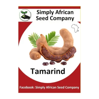 Tamarind Seeds SASC Non-GMO