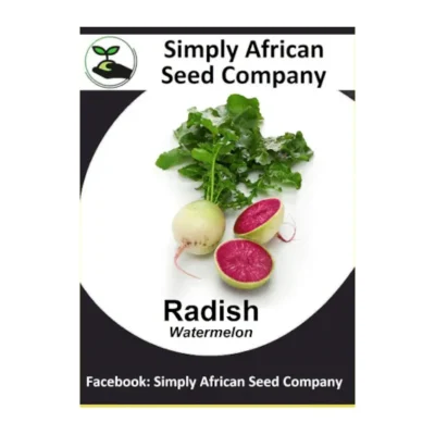 Radish Watermelon Seeds SASC Non-GMO