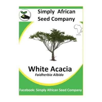 White Acacia Faidherbia Albida Seeds SASC Non-GMO