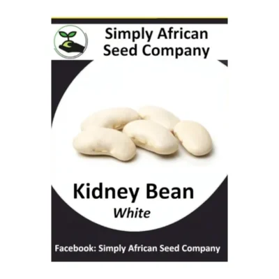 Kidney Bean White Seeds SASC Non-GMO