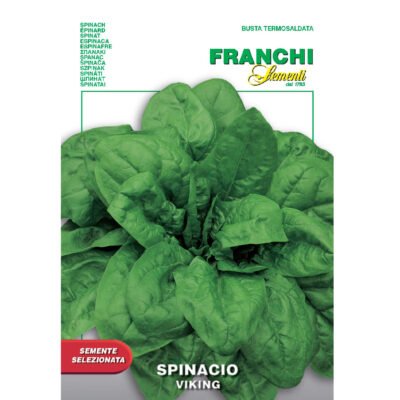 Viking Spinach Franchi Sementi Seeds