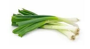 Spring Onion Seedlings - Slender Star