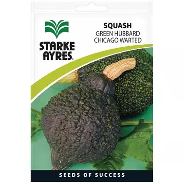 Squash - Green Hubbard - Starke Ayres Seeds