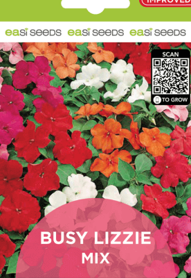 Impatiens Busy Lizzie Mix Flower Seeds by EASISEEDS