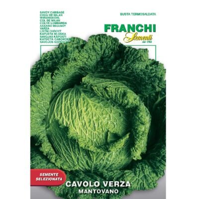Cabbage Savoy Cavolo Verza Mantovano Franchi Sementi Seeds