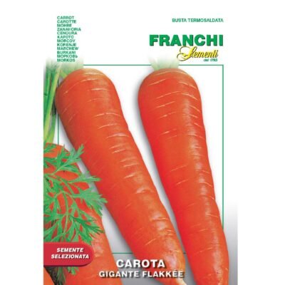 Carrot Gigante Flakkee Franchi Sementi Seeds