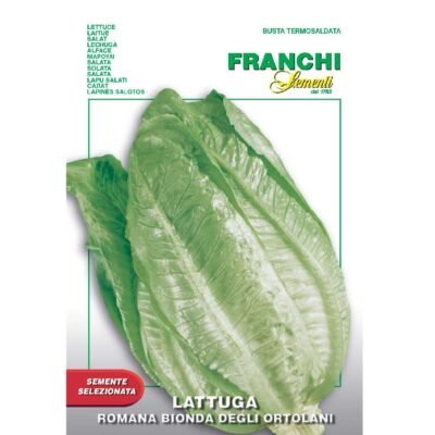 Lettuce Lattuga Romana Bionda Degli Ortolani Franchi Sementi Seeds