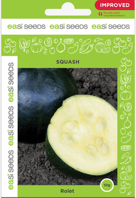Gemsquash Rolet Seeds by EASISEEDS