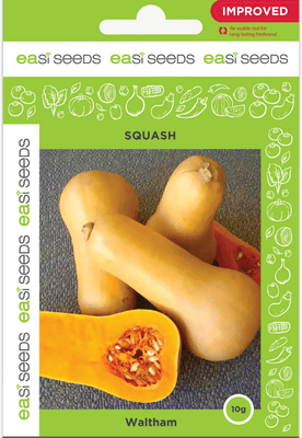 Butternut Waltham Seeds by EASISEEDS