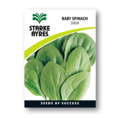 Baby Spinach - Dash - Starke Ayres Seeds