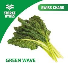 Swiss Chard - Green Wave - Starke Ayres Seeds