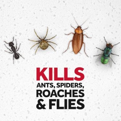 Ants Flies Roaches