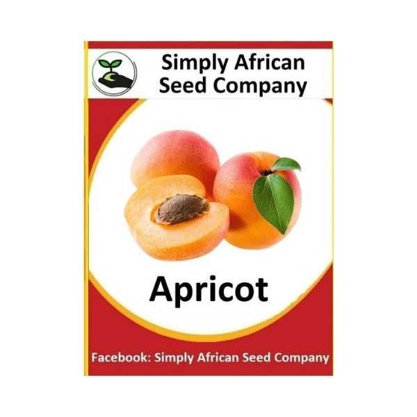 Apricot Seeds SASC Non-GMO