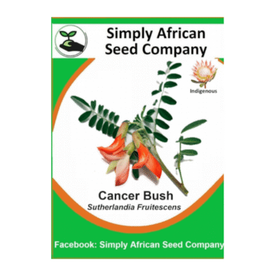 Cancer Bush (Sutherlandia Frutescens) Seeds SASC Non-GMO