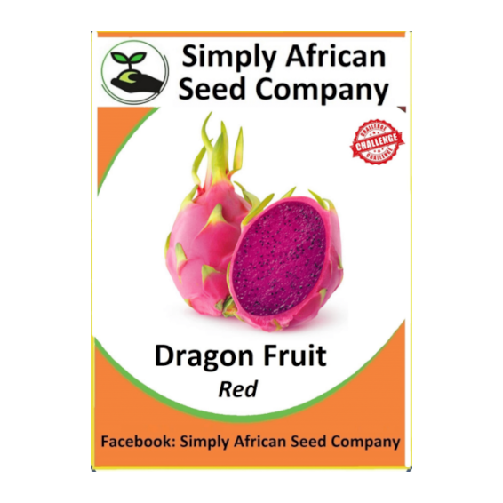 Dragon Fruit (Red) Seeds SASC Non-GMO