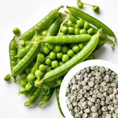 Peas Greenfeast Seeds Starke Ayres 50g