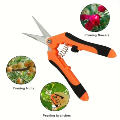 Pruning Scissors