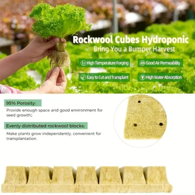 Rockwool Cubes 2cmx2cm - Image 2