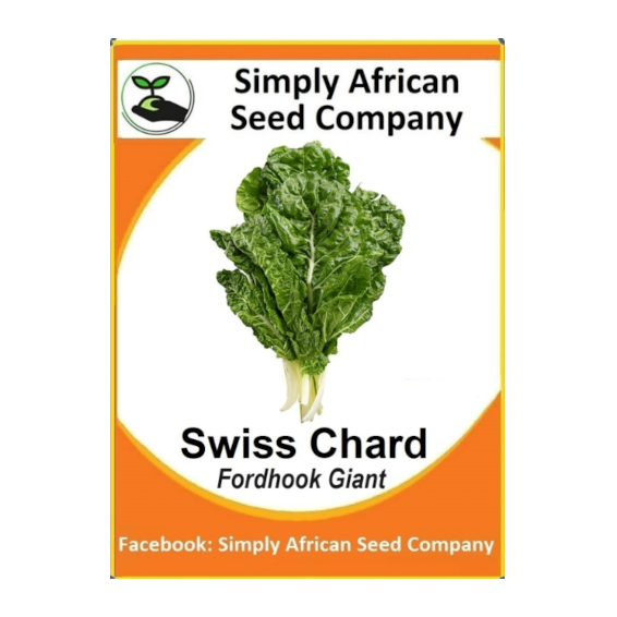 Swiss Chard Fordhook Giant Spinach Seeds SASC Non-GMO