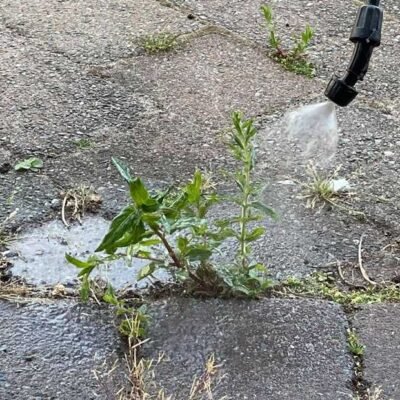 Weed Killer