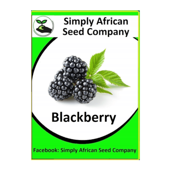 Blackberry Seeds SASC Non-GMO