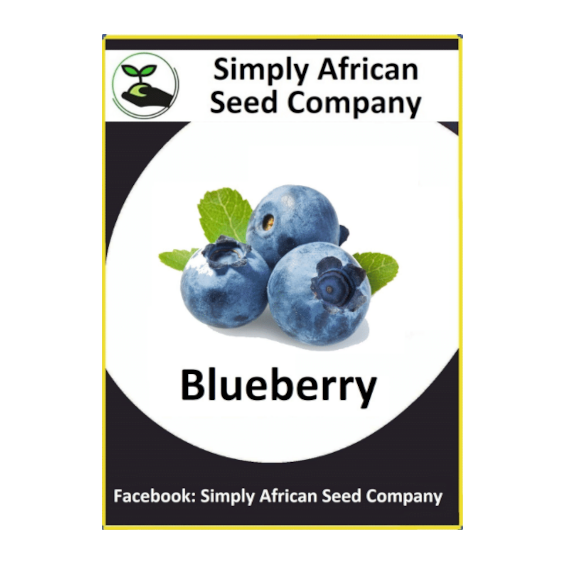 Blue Berry Seeds SASC Non-GMO