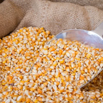 Bulk Seeds