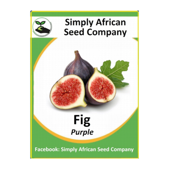 Fig Seeds (Purple) SASC Non-GMO