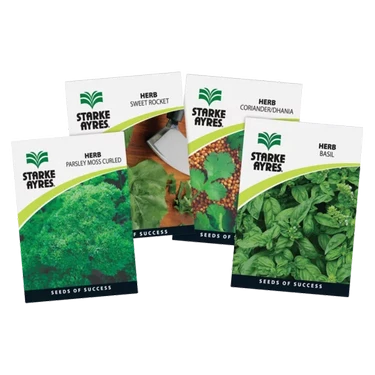 Herb & Spice Seeds