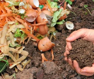Compost & Manure
