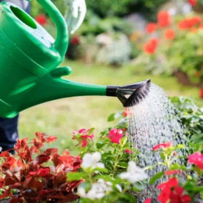 Watering & Irrigation